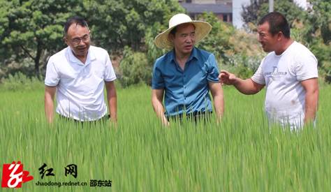 市农业抗旱小分队助力秋粮抗灾夺丰收_邵阳头条网
