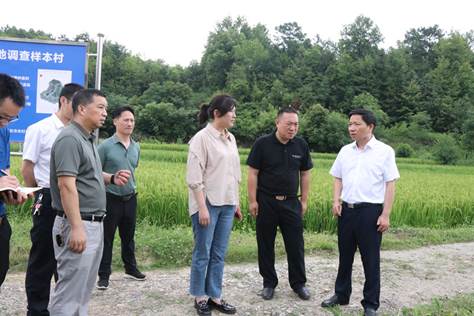 李国军督导突出生态环境问题整改、粮食生产等工作_邵阳头条网