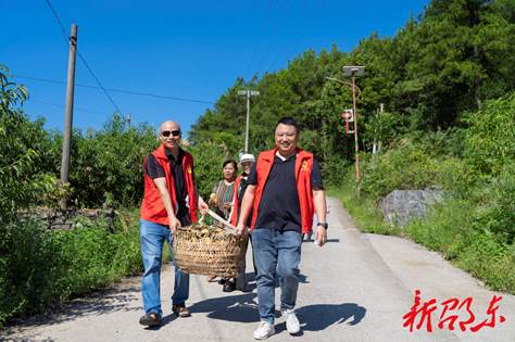 梧桐村：黄桃滞销让人愁 爱心义工来帮忙_邵商网