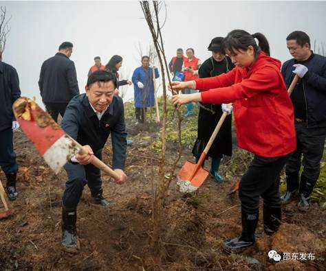 市委书记带头植树添绿_邵阳头条网