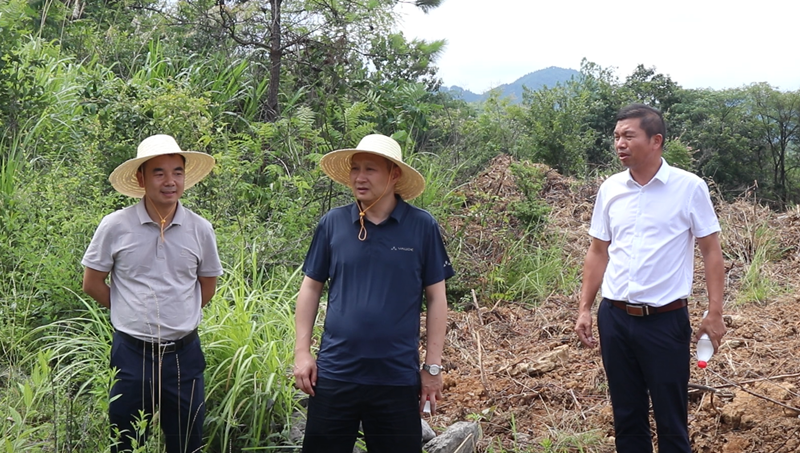 向章云带队到界岭等4个乡镇督查社会治理重点工作_邵阳头条网