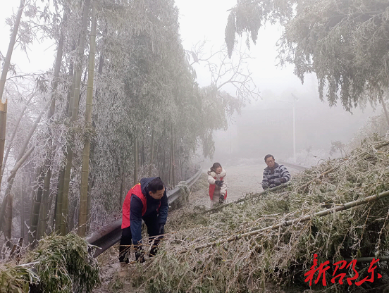 双凤乡新福村：除冰保畅暖人心 风雪更显“志愿红”_邵阳头条网