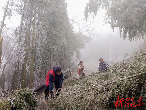 双凤乡新福村：除冰保畅暖人心 风雪更显“志愿红”_邵商网