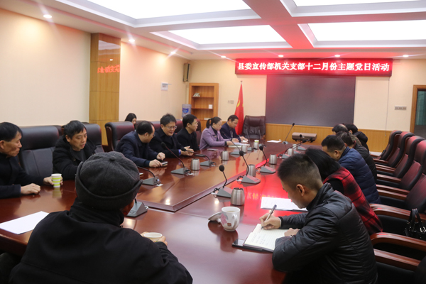 邵东县委宣传部扎实开展12月份机关支部主题党日活动(图1)
