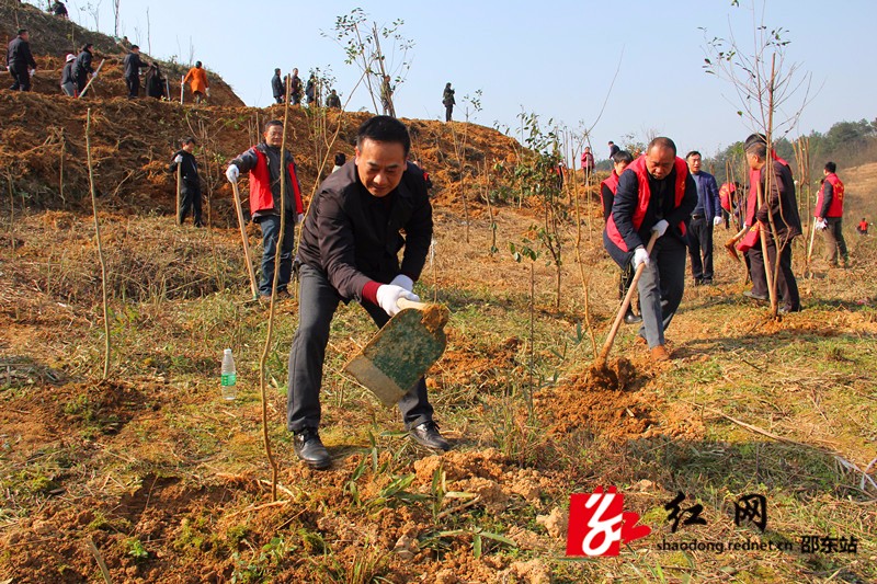 邵东县人社局开展义务植树活动(图2)