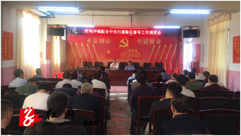 野鸡坪镇召开配合中央扫黑除恶督导工作调度会(图1)