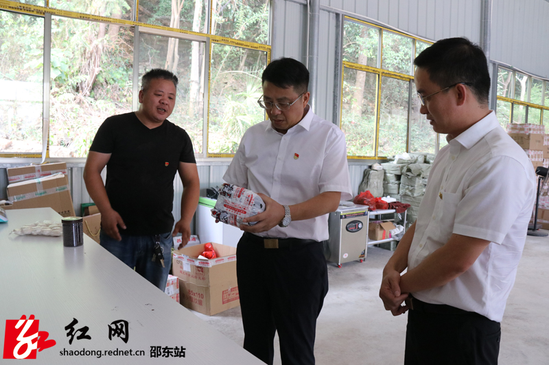 沈志定到团山镇督导“不忘初心、牢记使命”主题教育和信访维稳安保等工作(图2)