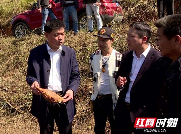 申桂荣带队开展流动民主监督视察活动(图1)