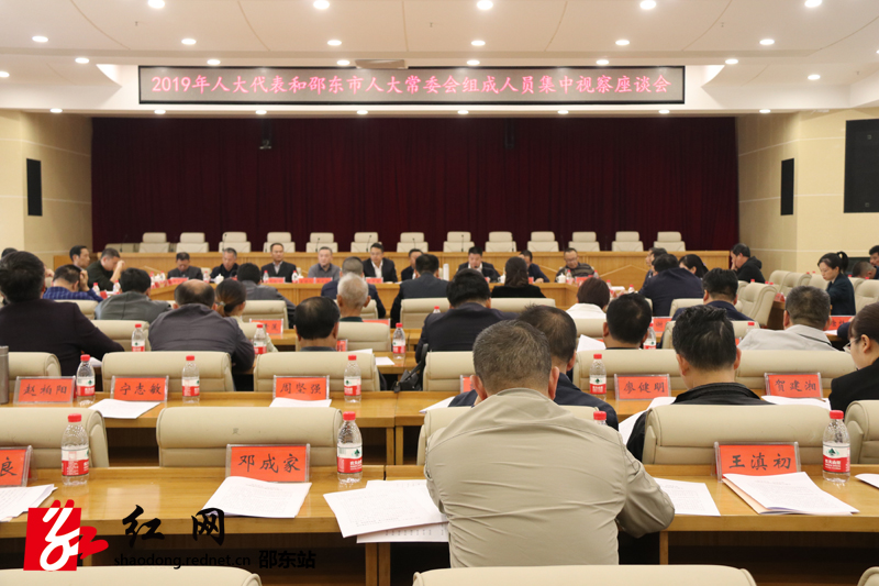 邵东市组织各级人大代表开展集中视察(图4)