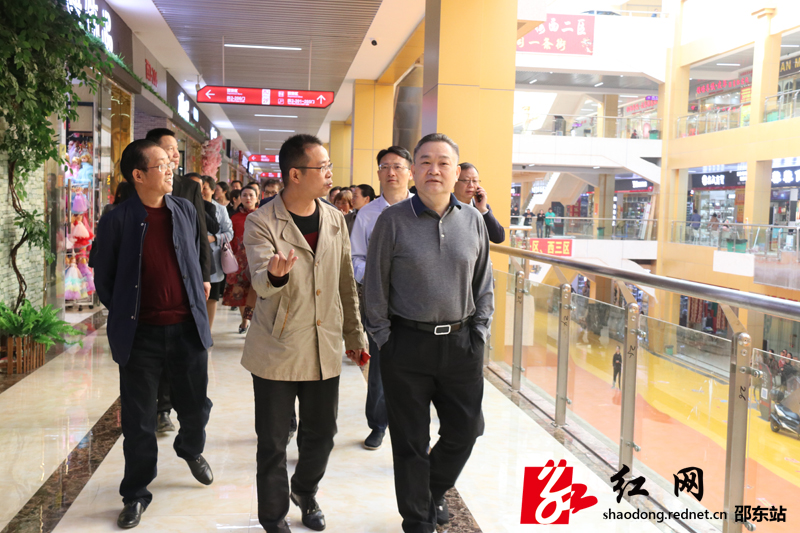 邵东市组织各级人大代表开展集中视察(图2)
