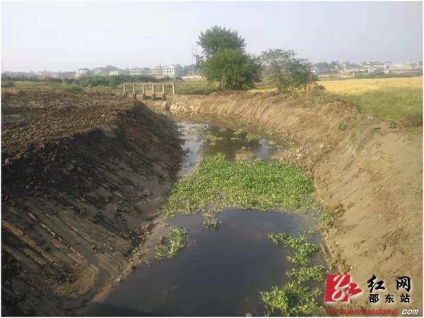 廉桥镇积极开展河道清淤 改善水环境(图1)