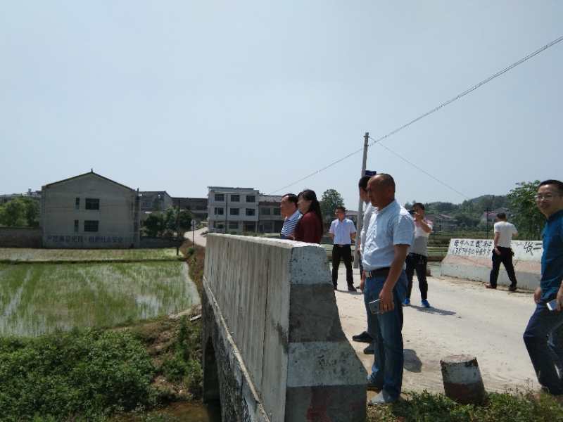廉桥片区县政协流动民主监督员赴界岭镇开展流动民主监督工作(图2)