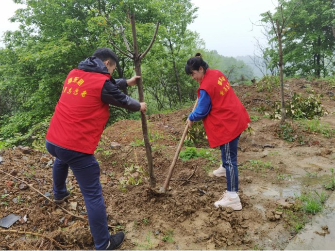 邵东市机关事务服务中心落实党史学习教育“我为群众办实事”项目清单篇一——于水东江镇长胜村开展义务植树活动(图2)