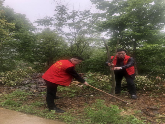 邵东市机关事务服务中心落实党史学习教育“我为群众办实事”项目清单篇一——于水东江镇长胜村开展义务植树活动(图1)