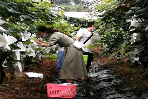 邵东市工商联助力乡村振兴(图3)