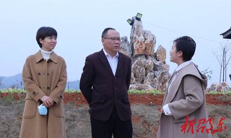 市政协提案委开展2022年度专委会调研活动(图2)