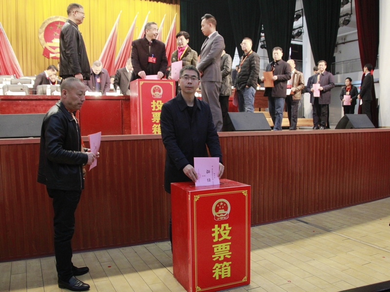周玉凡当选邵东市人民政府市长(图4)
