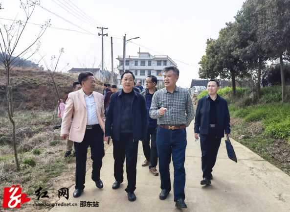 肖拥军来邵东调研黄花菜产业(图2)
