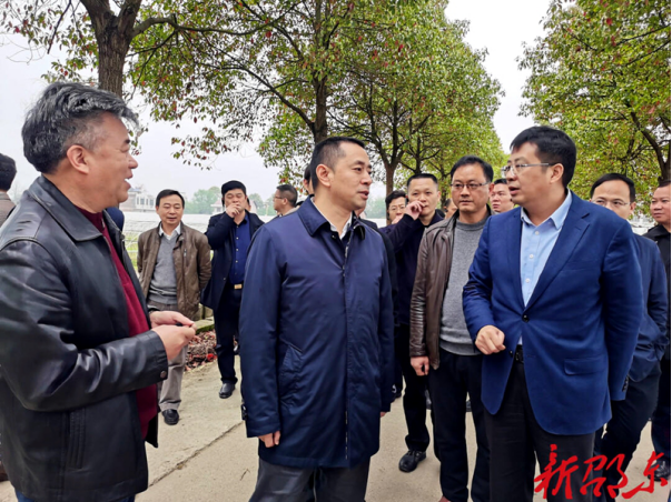 邵阳市早稻集中育秧现场推进会在邵东市召开(图2)
