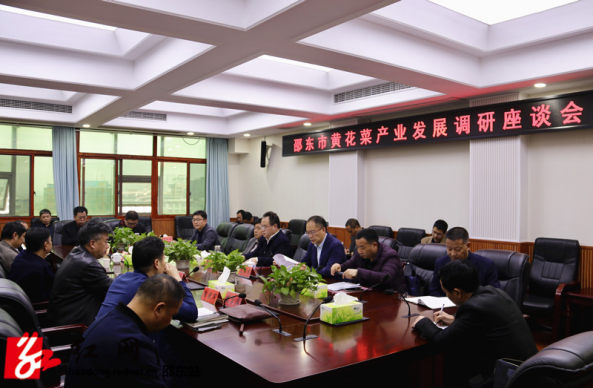 邵东邀请专家调研座谈 共谋黄花菜产业发展(图1)