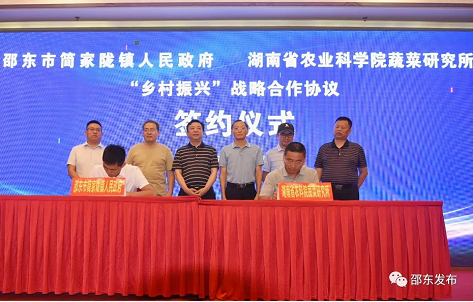 打造“精品瓜果小镇”邵东这个镇与省农科院签署协议了(图4)