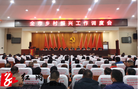 邵东市召开乡村振兴工作调度会(图1)