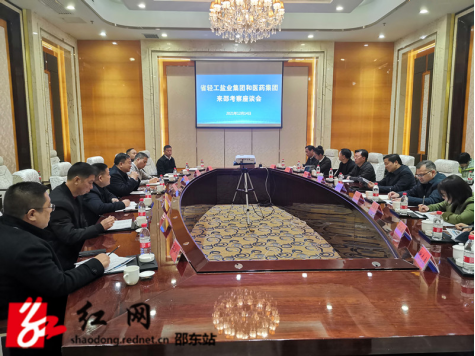 省轻工盐业集团、湖南医药集团董事长冯传良一行到邵东市考察(图1)