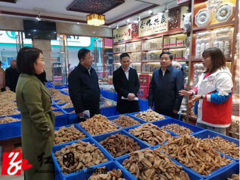 省轻工盐业集团、湖南医药集团董事长冯传良一行到邵东市考察(图2)