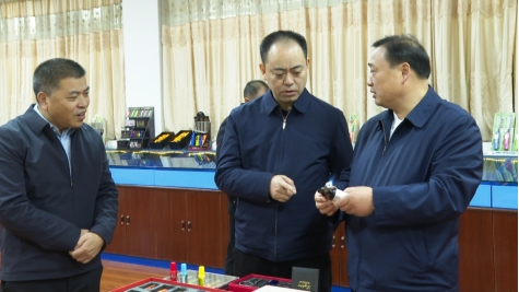 杨卫平来邵东督导经济运行工作(图1)