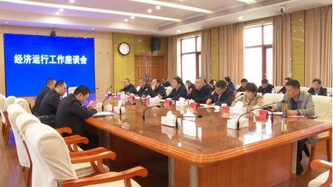 杨卫平来邵东督导经济运行工作(图2)