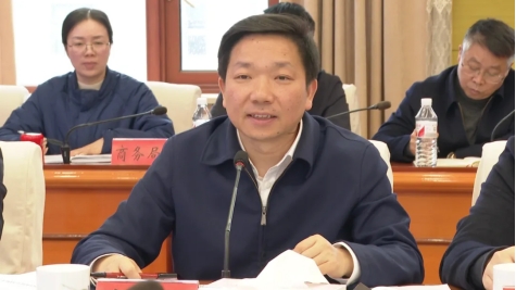 杨卫平来邵东督导经济运行工作(图4)