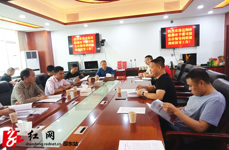 临湘市考察组到灵官殿镇考察交流乡村治理示范创建工作(图1)