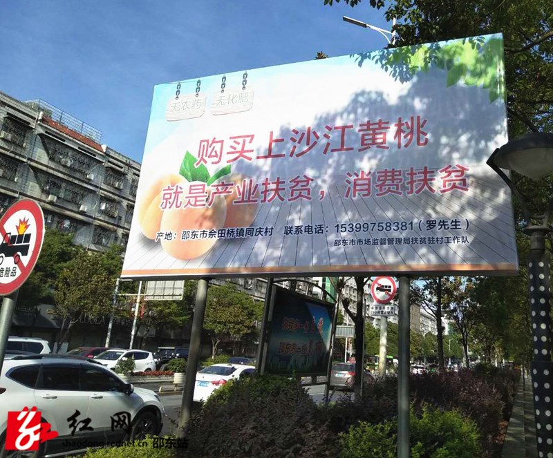 邵东市佘田桥镇同庆村的“上沙江”黄桃熟了(图1)