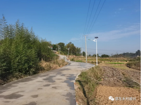 邵东市流泽镇：迎乡贤、出实效，率先领建示范路(图1)