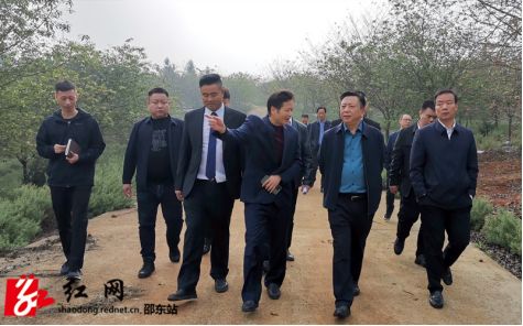 周玉凡到魏家桥镇调研乡村振兴、疫情防控工作(图2)