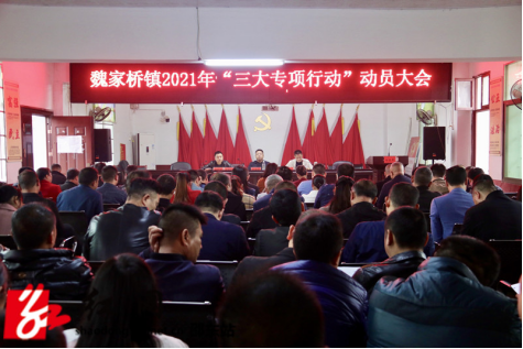 邵东魏家桥镇开展环境卫生、拆除“空心房”、植树补绿专项行动(图1)