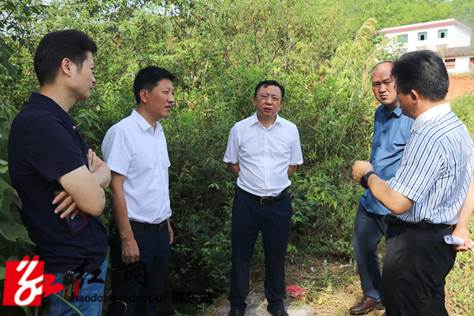周玉凡到周官桥乡检查指导抗旱工作(图2)