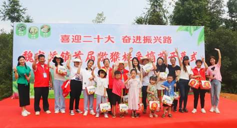 甜“猕”相约邵东这处果园来了不少人(图5)