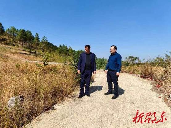 陈业华检查督导消防安全、森林防火、疫情防控等重点工作(图2)