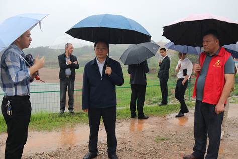 李国军到流泽镇调研(图2)