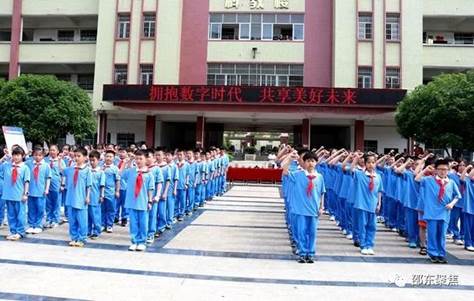 市委网信办在城区二完小开展“数字素养校园行 ”活动(图10)